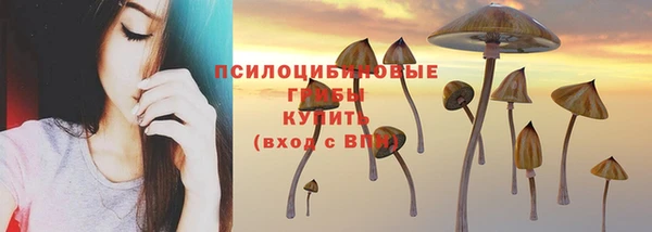 ALPHA PVP Горнозаводск