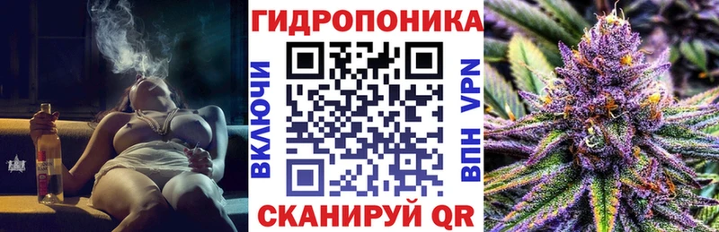 Купить закладки  Химки  Бошки марихуана семена 